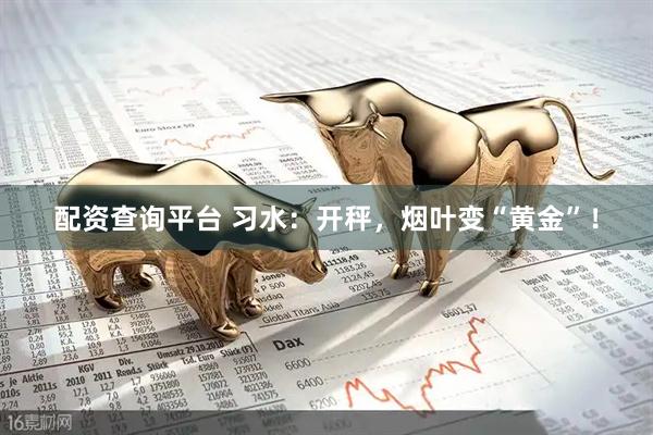配资查询平台 习水：开秤，烟叶变“黄金”！